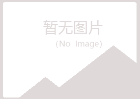 兴山区紫安能源有限公司